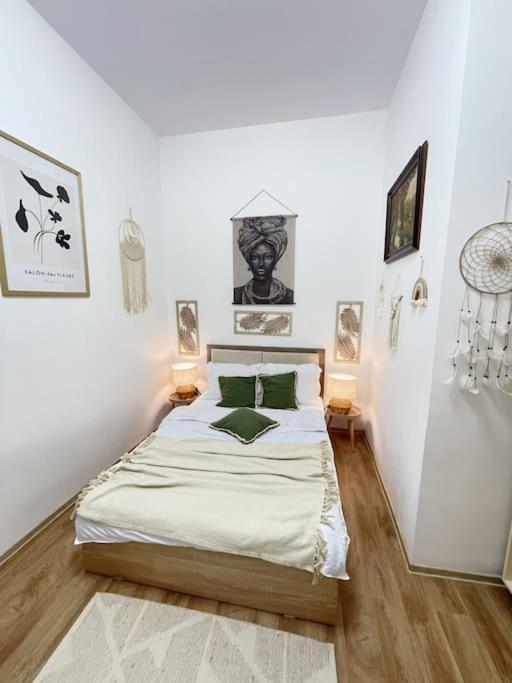Apartament In Centrul Istoric Nagyvárad Kültér fotó